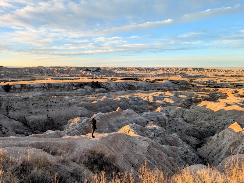 Badlands Wilderness Overlook at sunrise with bison in the distance.